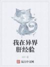 我在异界肝经验