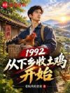 1992:从下乡收土鸡开始